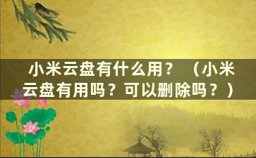 小米云盘有什么用？ （小米云盘有用吗？可以删除吗？）